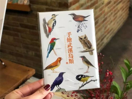 探訪本城最文藝的4家書店,最好賣的居然是這些文創產品 文化頻道